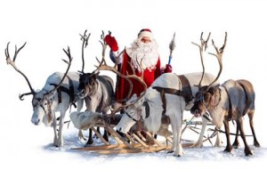 181634-425x283-santas-deer